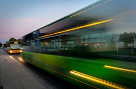 Adams Hotel - photo 7