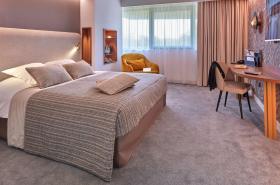 Best Western Plus Metz Technopole - photo 4