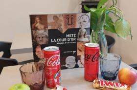 Hôtel Le Mondon Metz - photo 10